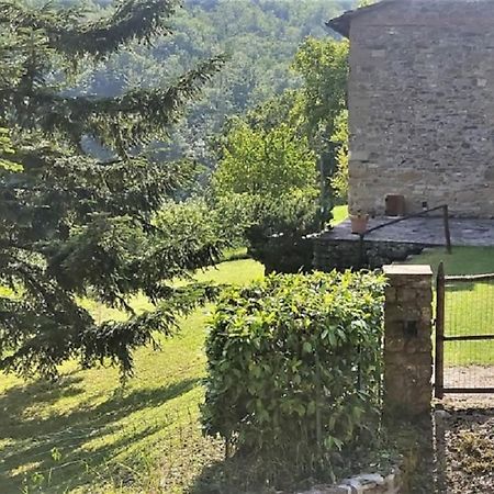 Casa Titina Riposo E Relax Nella Campagna Toscana Pratovecchio Dış mekan fotoğraf