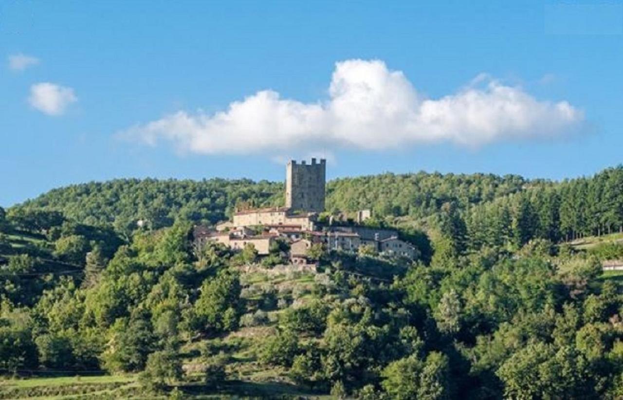 Casa Titina Riposo E Relax Nella Campagna Toscana Pratovecchio Dış mekan fotoğraf