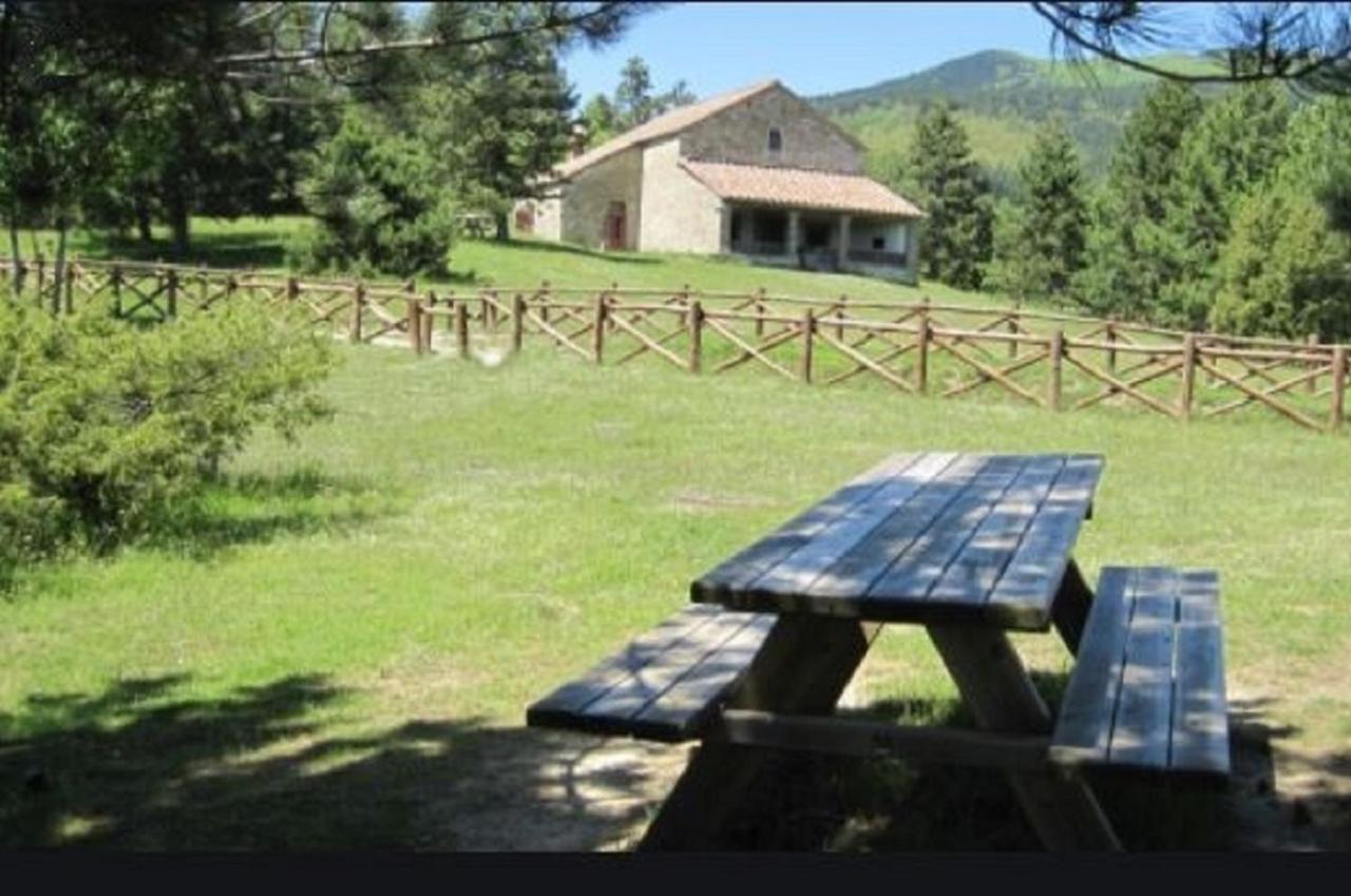 Casa Titina Riposo E Relax Nella Campagna Toscana Pratovecchio Dış mekan fotoğraf