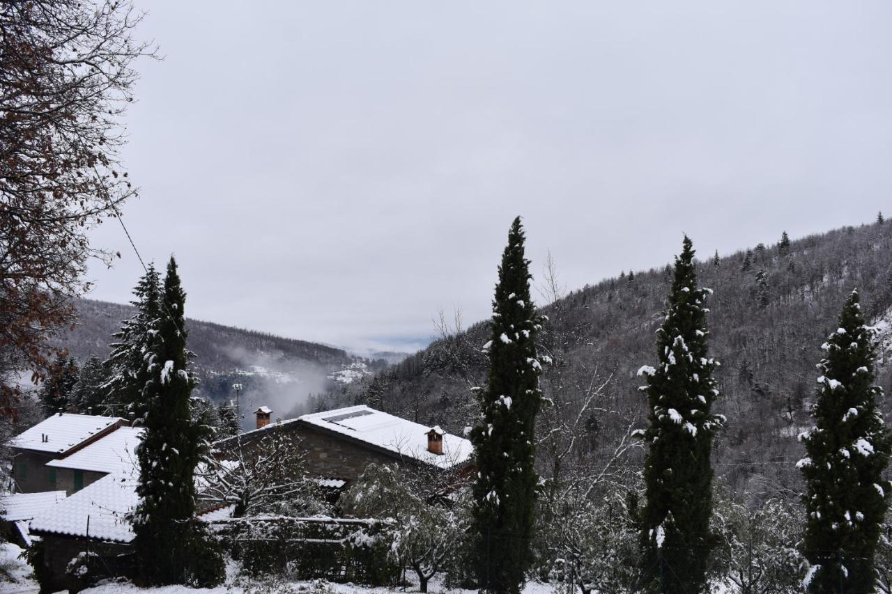 Casa Titina Riposo E Relax Nella Campagna Toscana Pratovecchio Dış mekan fotoğraf