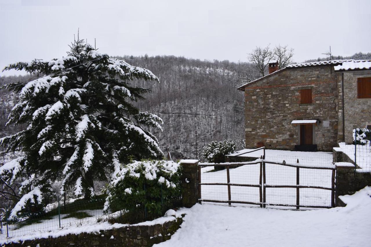 Casa Titina Riposo E Relax Nella Campagna Toscana Pratovecchio Dış mekan fotoğraf