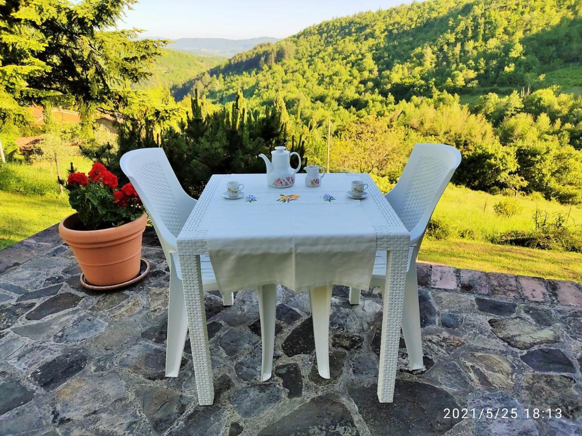 Casa Titina Riposo E Relax Nella Campagna Toscana Pratovecchio Dış mekan fotoğraf