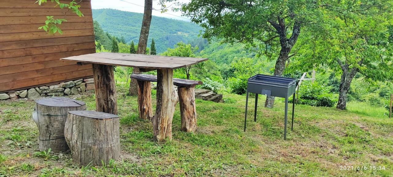 Casa Titina Riposo E Relax Nella Campagna Toscana Pratovecchio Dış mekan fotoğraf