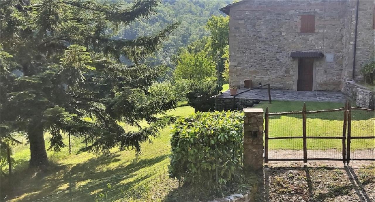 Casa Titina Riposo E Relax Nella Campagna Toscana Pratovecchio Dış mekan fotoğraf